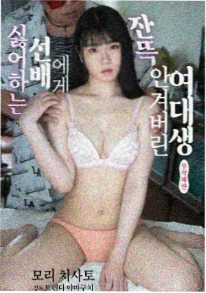 长夜档案室剧集字幕条目
